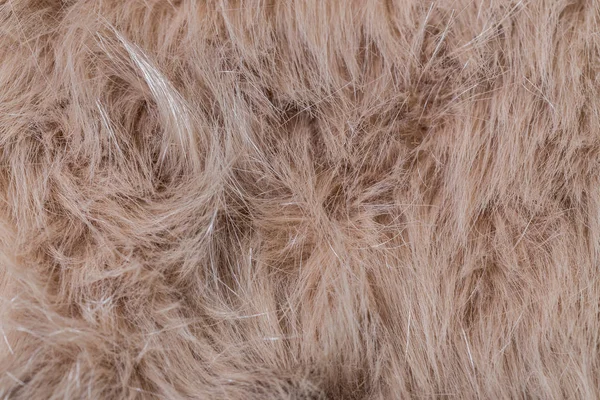 Close View Texture Fur Background — Stock Photo, Image