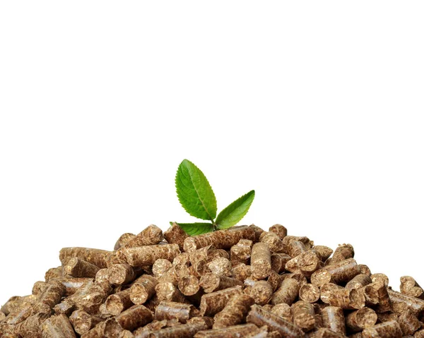 Haufen Holzpellets Für Bioenergie — Stockfoto
