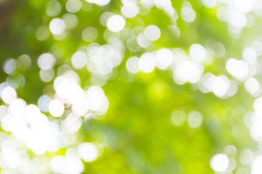 Yeşil doğal arka plan bulanık