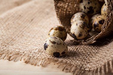Taze bıldırcın yumurtası hasır plaka görünümü Kapat