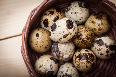 Taze bıldırcın yumurtası hasır plaka görünümü Kapat