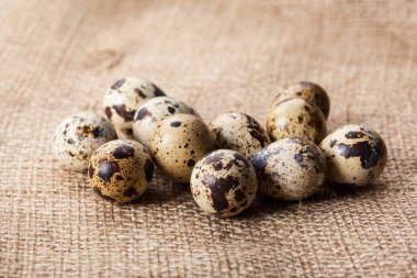 Bıldırcın yumurtası Sim Tarih