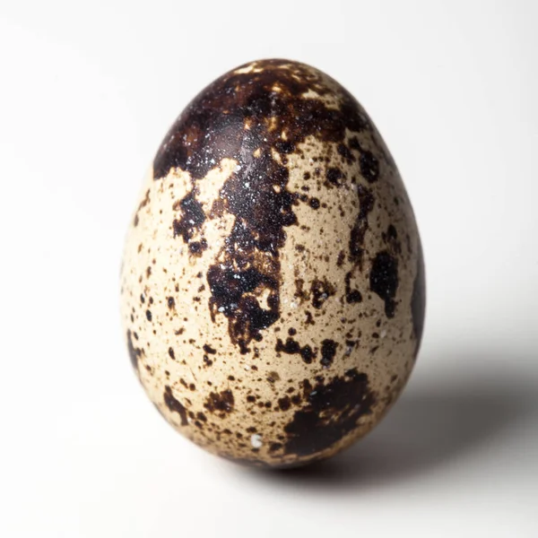 Bıldırcın Yumurta Beyaz Zemin Üzerine — Stok fotoğraf