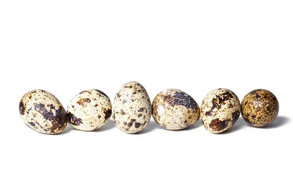 Αυγά Ορτυκιού Απομονωμένα Λευκό Φόντο — Φωτογραφία Αρχείου
