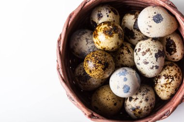 Ahşap plaka closeup, taze bıldırcın yumurtası