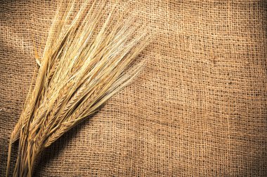 Kahverengi çul kulaklara buğday 