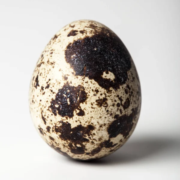 Перепелине Яйце Білому Тлі — стокове фото