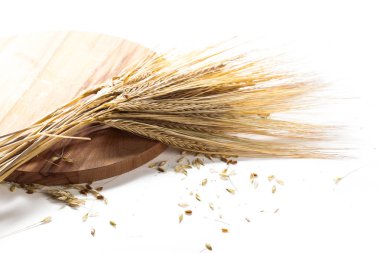 Beyaz arkaplanda yalıtılmış buğday kulakları