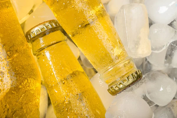 Bottles Cold Fresh Beer Ice — Stock Photo, Image