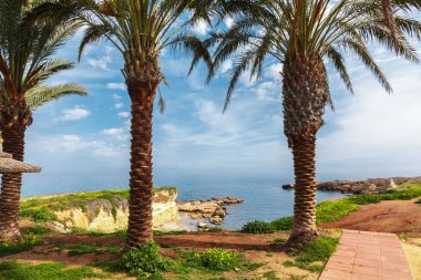 Tropikal plaj deniz kenarı göster