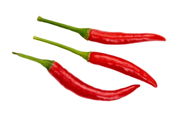 Hot Red Peppers Isolated White Background Close — Stock Photo, Image