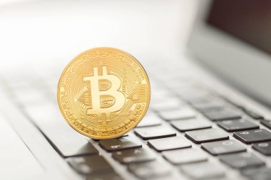 Altın bitcoin, cryptocurrency kavramı
