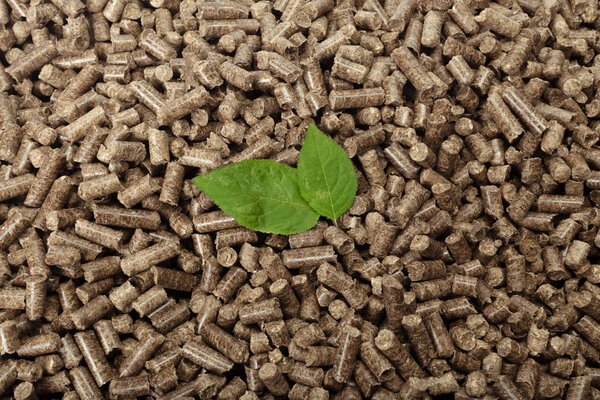 Green leaf on solid wooden pellets background