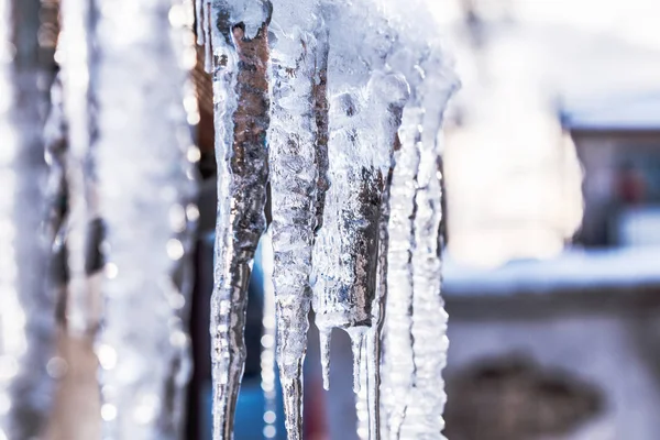 Schöne Glänzende Transparente Eiszapfen — Stockfoto