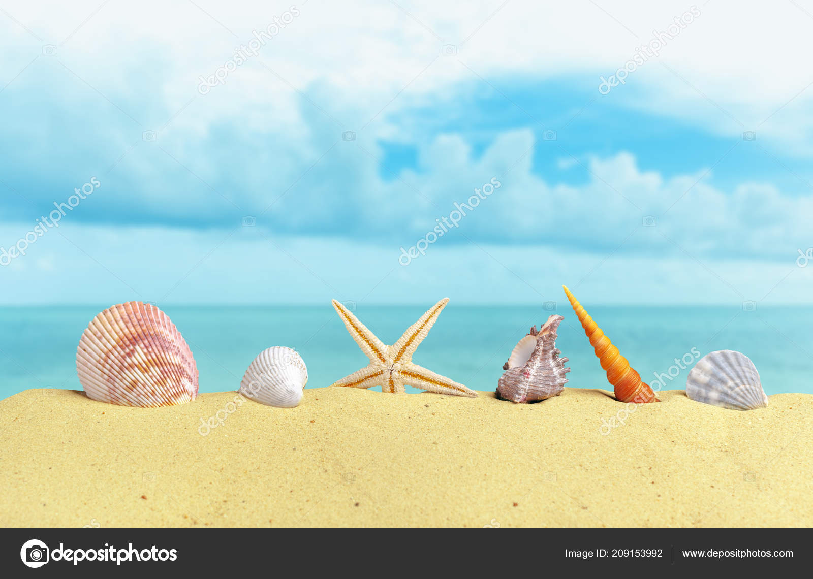 Starfish Seashells Beach Background Stock Photo by ©Fotofabrika 209153992 Starfish Seashells Beach Background Stock Photo by ©Fotofabrika 209153992