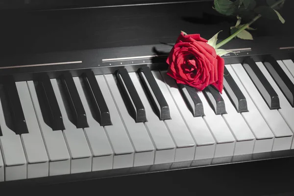 Teclado Piano Grand Com Rosa Vermelha — Fotografia de Stock