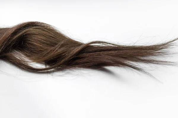Black Hair White — Stock Photo, Image