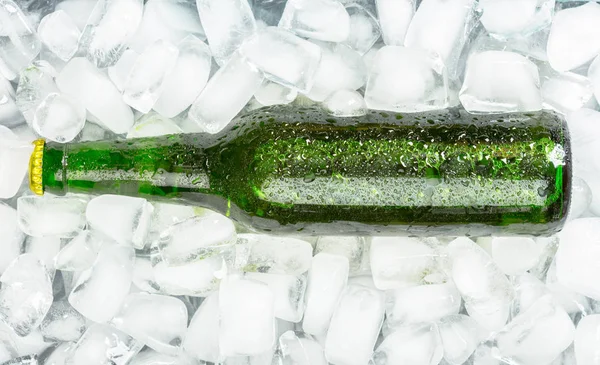 Бутылки Холодного Свежего Пива Льдом — стоковое фото