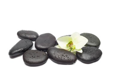 Spa spa taşlar ile natürmort 