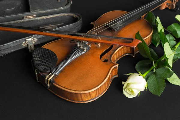 Vecchio Violino Sfondo Nero — Foto Stock