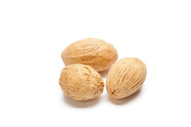 Kurutulmuş çiçekçi malzemeleri. Kurutulmuş dekorasyon bitkiler