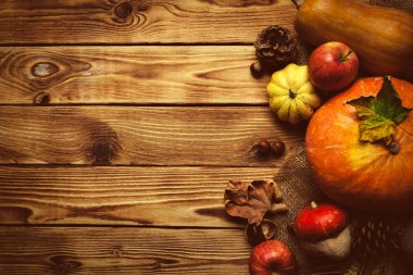 kabak ile sonbahar arka plan üstten görünüm