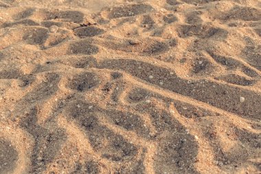 Arkaplan olarak kum plajı dokusu