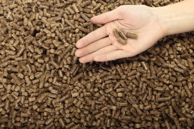 Katı ahşap parçaları tutan eller