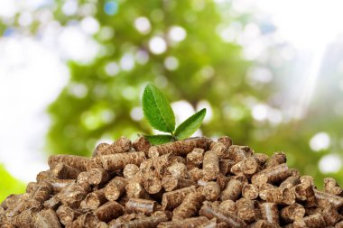 Wood pellets on a green background. Biofuels. clipart