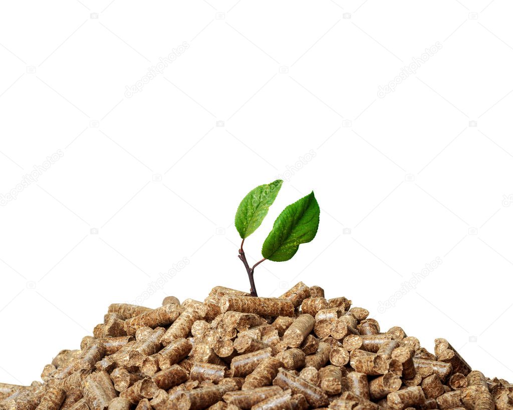 wooden pellets isolated on white background 