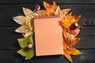 Sonbahar çevrili boş defter bırakır