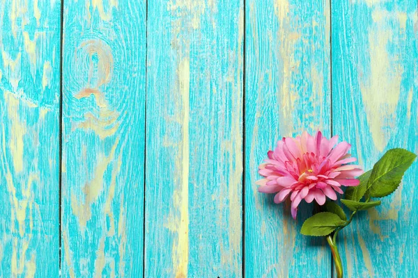 stock image Beautiful fresh flower on wooden table, top view