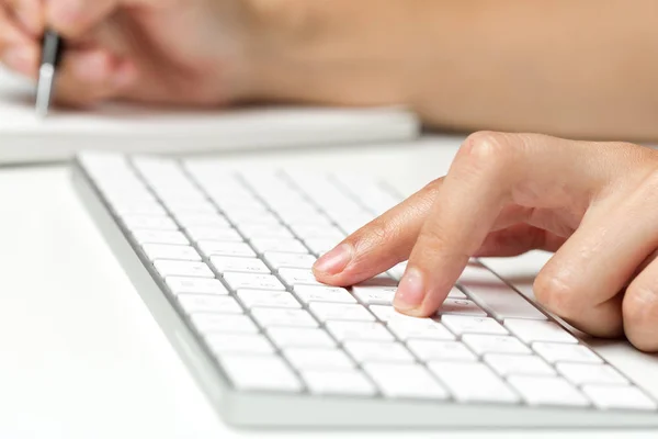 Woman Hands Keyboard — Stock Photo, Image