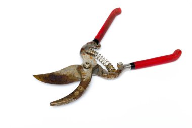 Makas için bahçe beyaz arka plan üzerinde Kapat