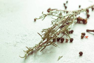 Baharat ve otlar, kapat