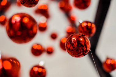 doğal nesnelerin görünümünü de renkli Noel dekorasyon