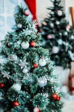 doğal nesnelerin görünümünü de renkli Noel dekorasyon