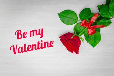 Sevgililer günü resim