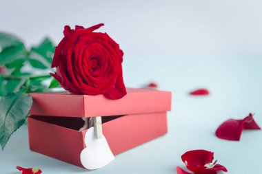 Sevgililer günü resim