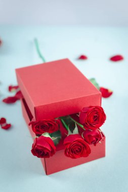 Sevgililer günü resim