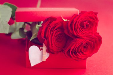 Sevgililer günü resim