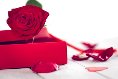 Sevgililer günü resim