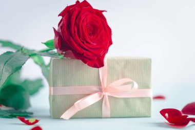 Sevgililer günü resim