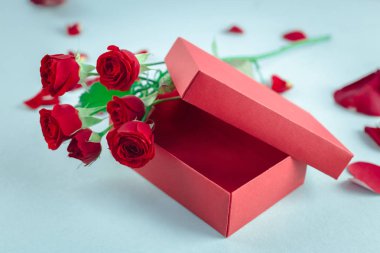 Sevgililer günü resim