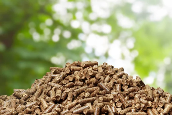 Hout Pellets Een Groene Achtergrond Biobrandstoffen — Stockfoto