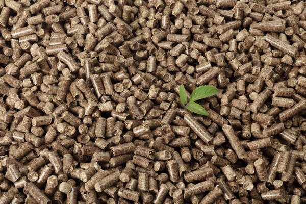 Green leaf on solid wooden pellets background