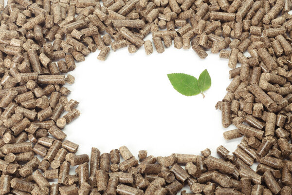 Green leaf on solid wooden pellets background
