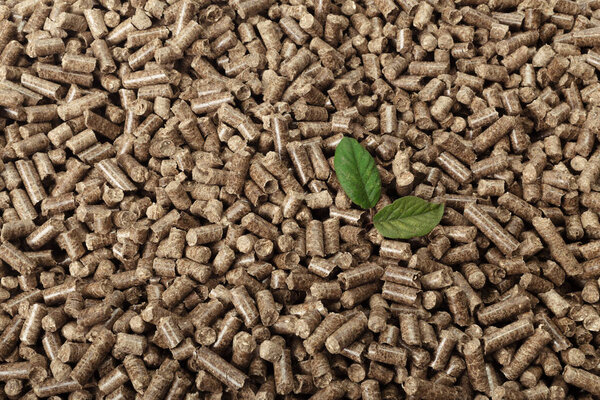 Green leaf on solid wooden pellets background