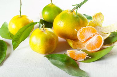 yaprakları ile olgun mandarin