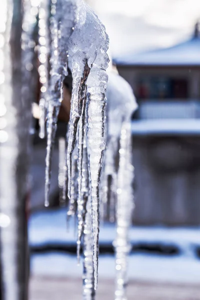 Stäng Glänsande Transparent Istappar — Stockfoto